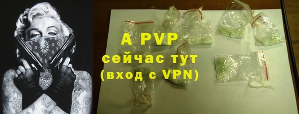 гашик Дмитров