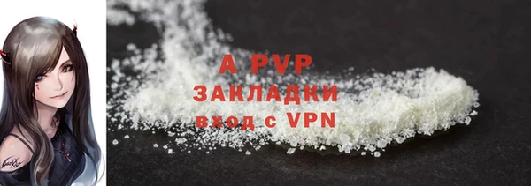 гашик Дмитров