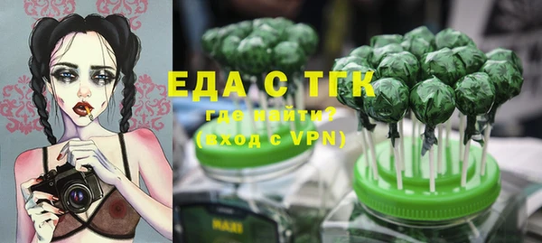 гашик Дмитров