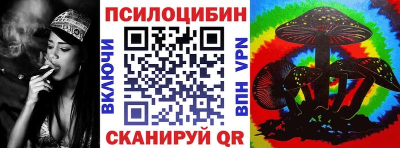 Галлюциногенные грибы Psilocybine cubensis Калач-на-Дону